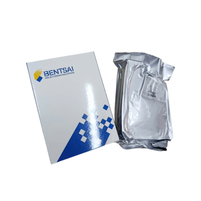 hộ kinh doanh cần bao nhiêu tiền để bắt đầu in date